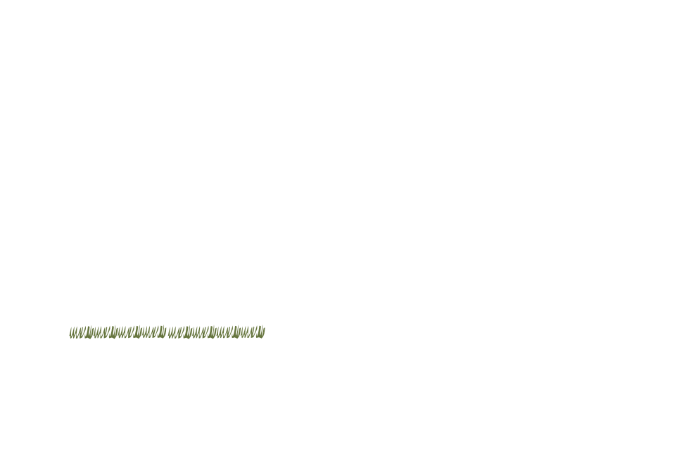 和を感じる癒やしの空間