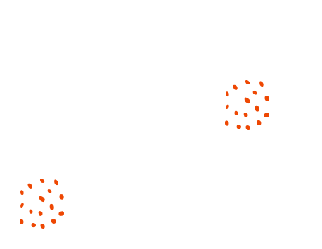 ランチ＆ディナー